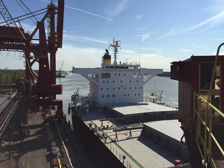 Massive ship docked at a bustling port